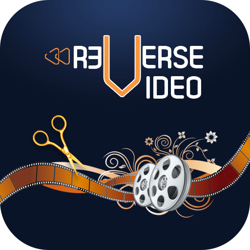 Reverse Video  Icon
