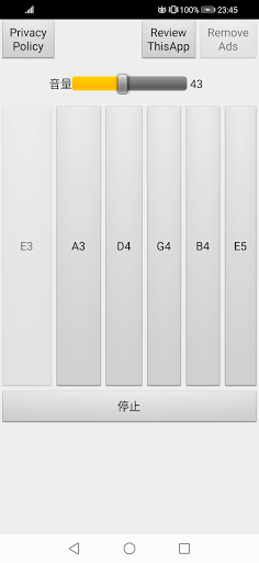 Guitar Tuner App Screen 2