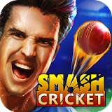 Smash Cricket Live '16 icon