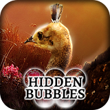 Hidden Bubbles: Spring Babies icon