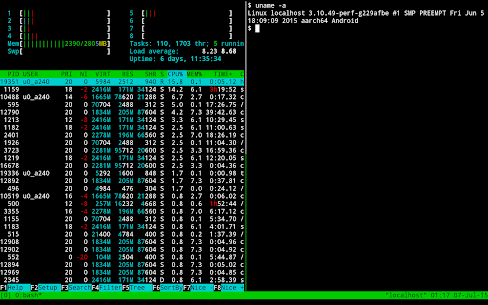 TERMUX for PC 5