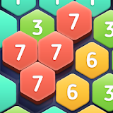 Hexa Puzzledom icon