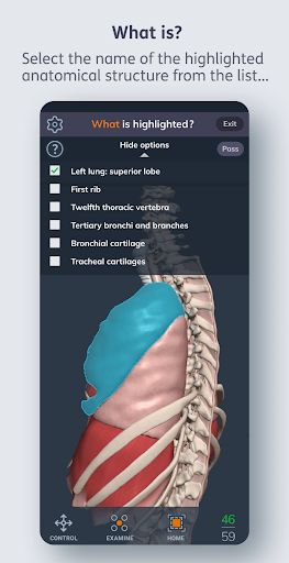 Primal’s 3D Human Anatomy Quiz Screen 3
