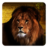 Lions Live Wallpaper icon