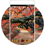 Autumn Red Leaves Wallpaper Theme HD icon