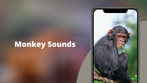 Android application Monkey Sounds screenshort