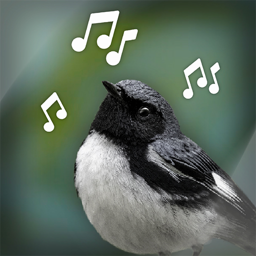 Bird Sounds 1.0.1 Icon