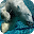 Polar Bear Live Wallpaper Download on Windows