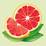 Cover Image of 下载 Reference book of fruit trees 3.7.0 APK