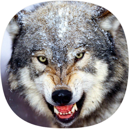 Wolf Ringtones logo