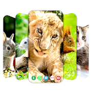 Top 38 Personalization Apps Like Wallpapers with sweet animals - Best Alternatives