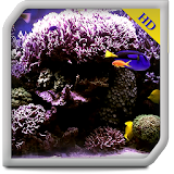 Aquarium Radiance WALLPAPER icon