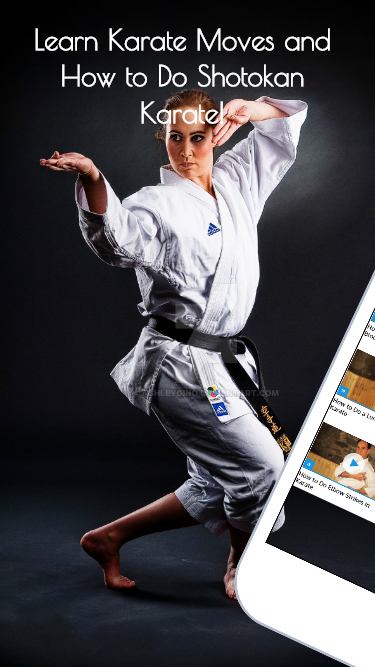 Karate Training Guide - 1.0.0 - (Android)