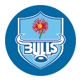 Blue Bulls icon