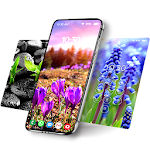 Cover Image of Download Wallpapers with plants  APK