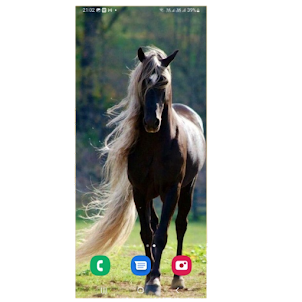 Horse wallpaper