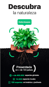 NatureID - Identificar plantas
