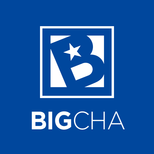 빅차 logo