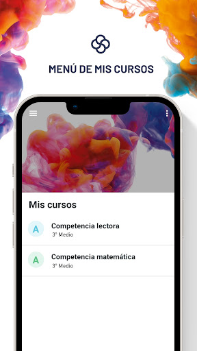 CLAVE PAES Docentes Screen 2