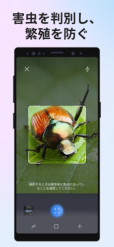 Picture Insect：撮ったら、判る-1秒昆虫図鑑のおすすめ画像4
