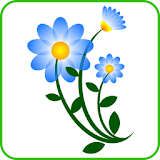 Psychic Flower Cards icon
