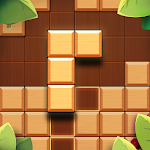 Cover Image of डाउनलोड Wood Block Puzzle: Classic wood block puzzle games 1.1.0 APK