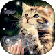 Water Touch - Cute Cat Live Wallpaper Скачать для Windows
