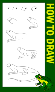 Как рисовать земноводных