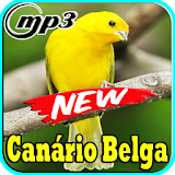 Canto Canario Belga Campainha Mp3 icon