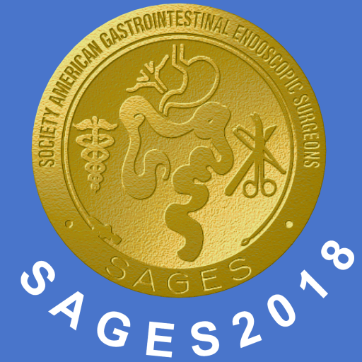 SAGES 2018 Annual Meeting  Icon