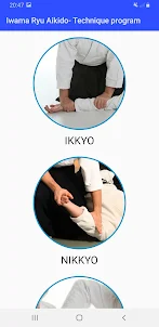 Iwama Ryu Aikido - Technique P