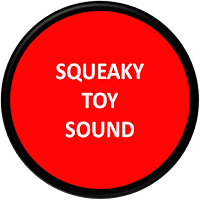 Squeaky Toy