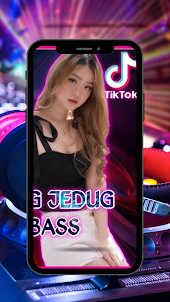 DJ Janda Pirang Viral Offline