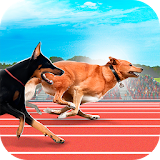 Dog Racing Tournament Sim 2 icon