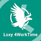 Loxy 4WorkTime