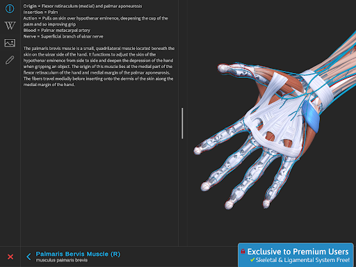 Screenshot of Visual Anatomy 3D - Human body