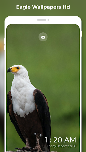 Eagle Wallpapers HD: 4K FHD Screen 2