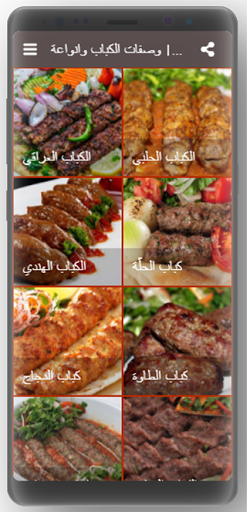 Kebab  Kebab recipes and types