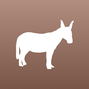 Donkey Shepherd