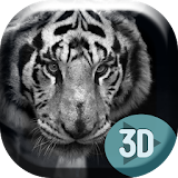 Stylish Ice Tiger Live Wallpap icon