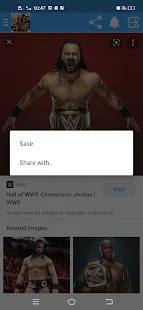 WWE champion wallpaper 2021スクリーンショット 1
