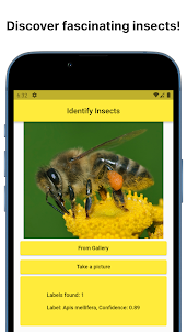 Insect Identifier