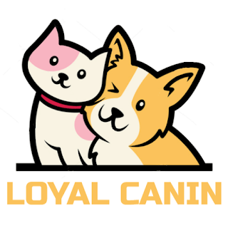 Loyal Canin
