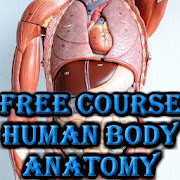 Learn Body Human Anatomy offline 2020