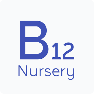 B12 Nursery