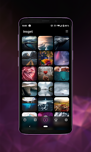 Insget Instagram Downloader MOD APK 3.8.2 (Premium Unlocked) 5