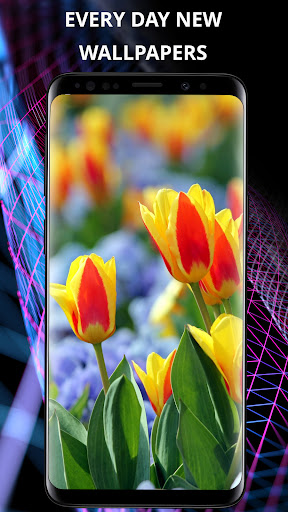 Android application Flowers wallpaper for phone screenshort