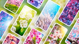 screenshot of Spring Wallpapers 4K