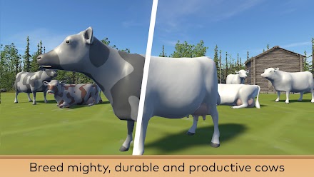 Nordic Cows Screen 2
