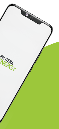 Pantera Energy Screen 2